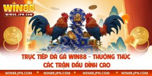 Trực tiếp đá gà WIN88